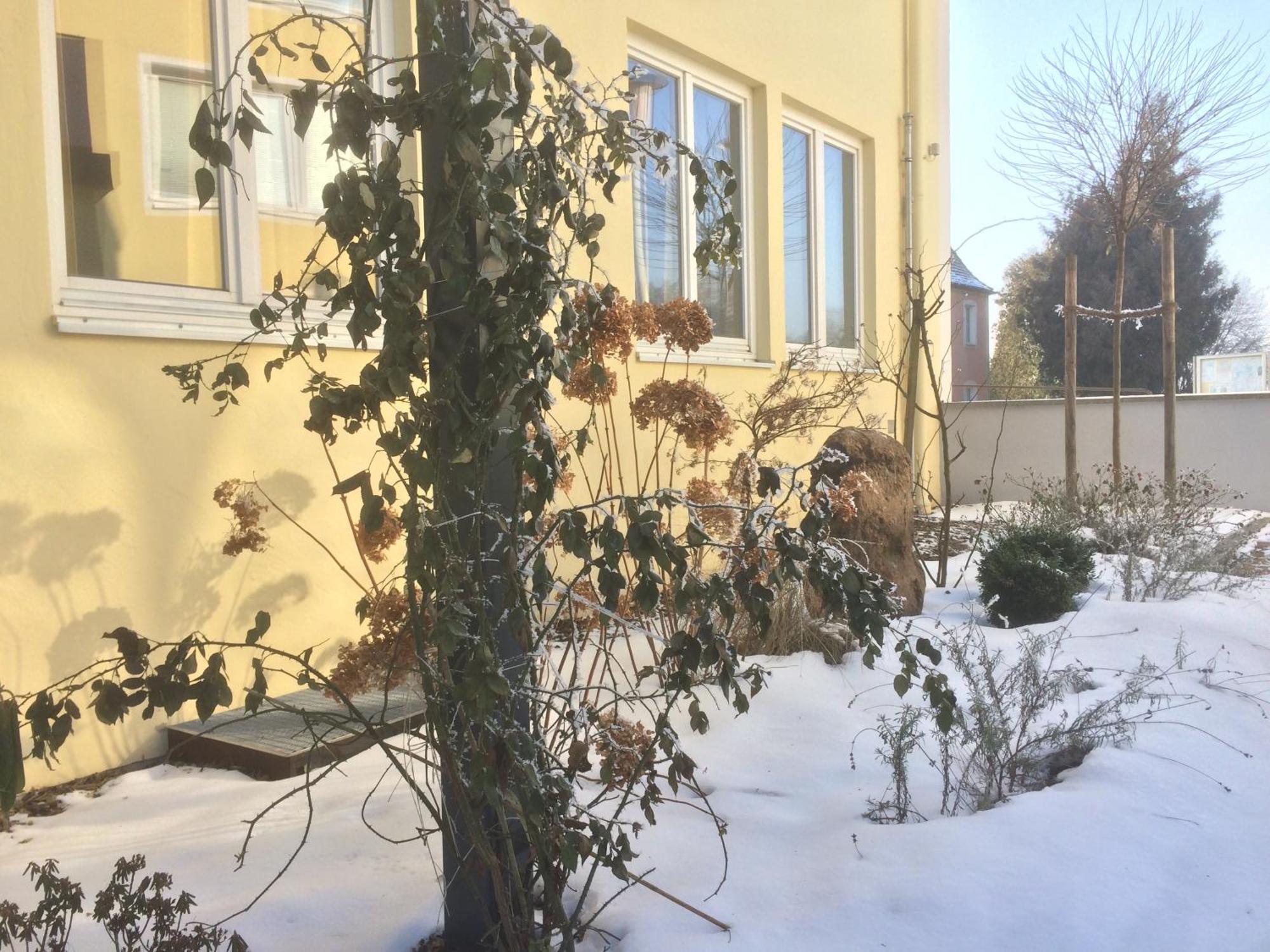 Alte Post Apartman Bad Griesbach  Szoba fotó