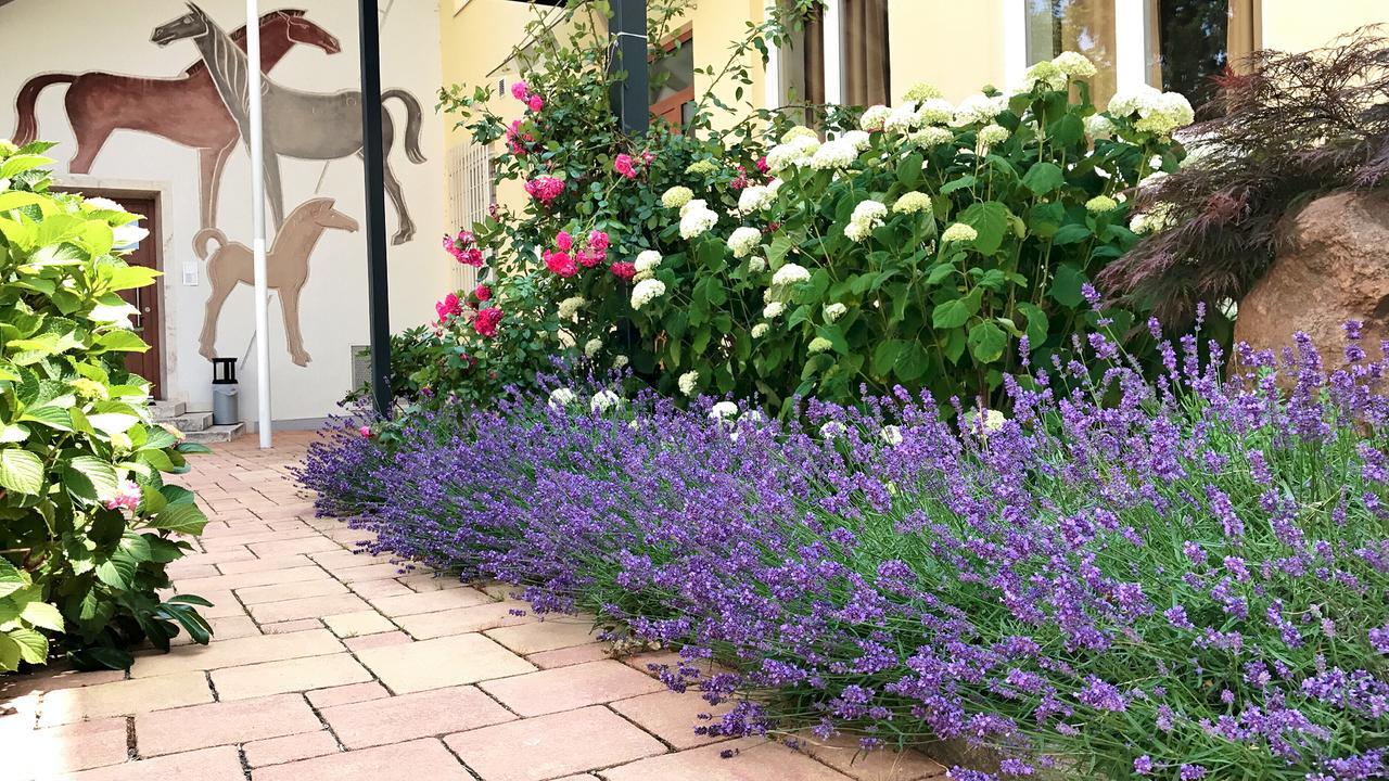 Alte Post Apartman Bad Griesbach  Kültér fotó